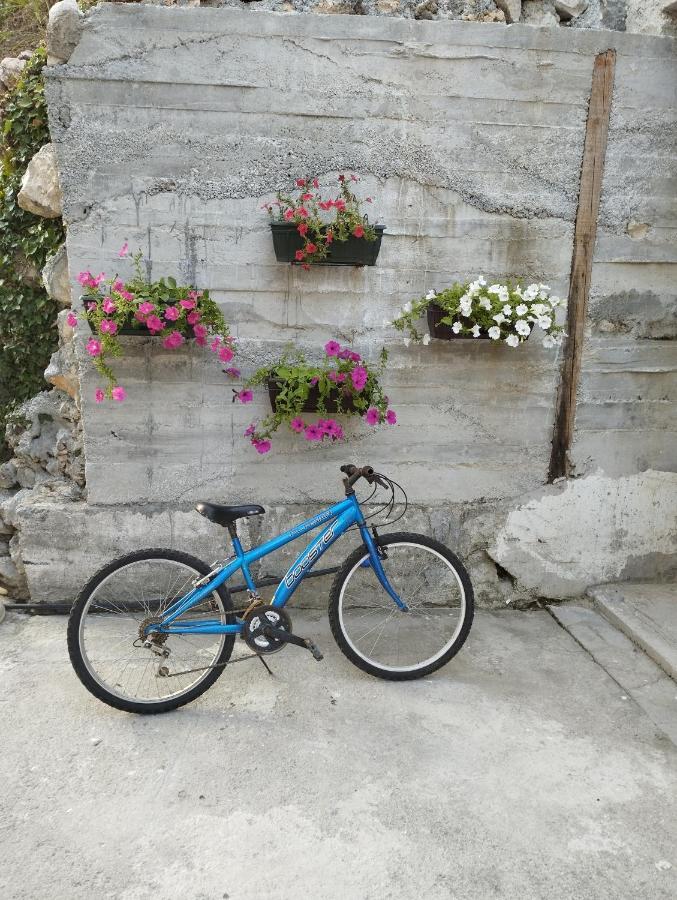 State Appartement Kotor